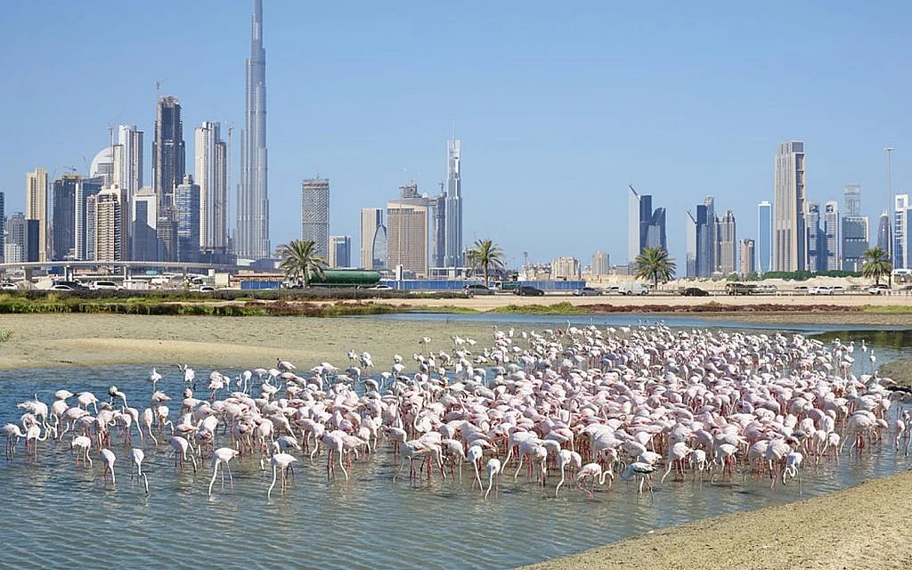 منطقة رأس الخور الصناعية