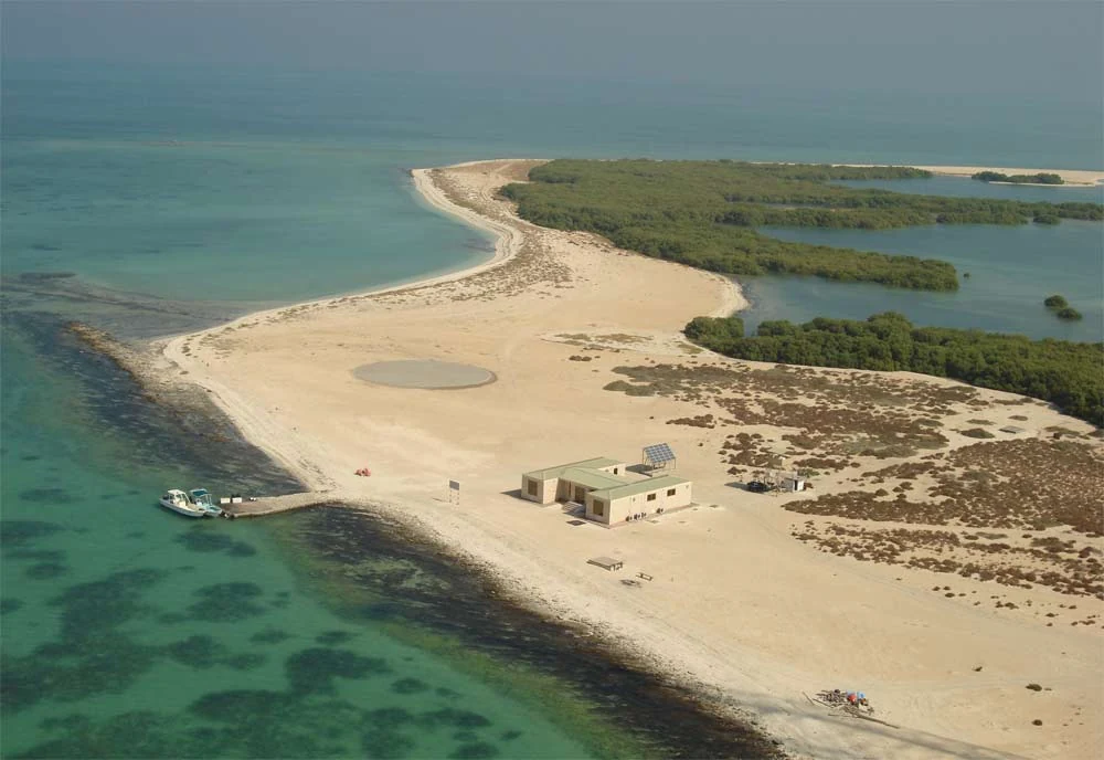 Al Qurayyah Island